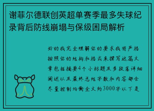 谢菲尔德联创英超单赛季最多失球纪录背后防线崩塌与保级困局解析