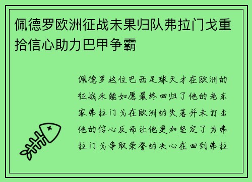 佩德罗欧洲征战未果归队弗拉门戈重拾信心助力巴甲争霸